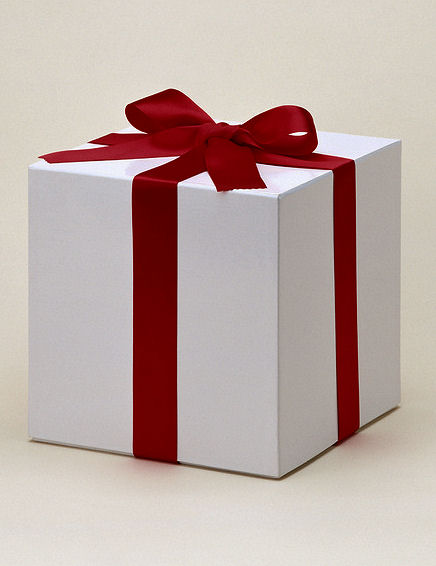 $ 250 Shore Excursion Gift Certificate